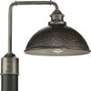 Progress Lighting Englewood Collection One-Light Post Lantern P540032-103